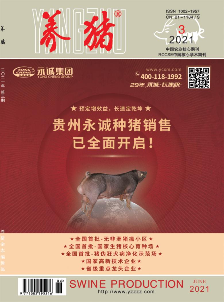 养猪