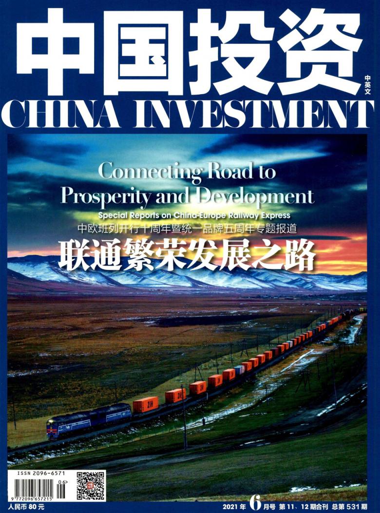 中国投资论文