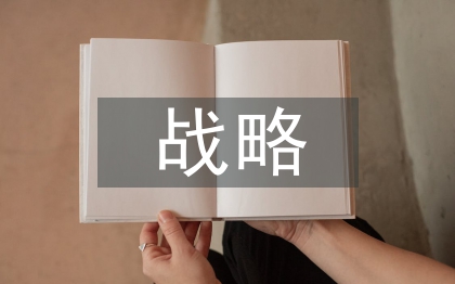 医药公司战略分析