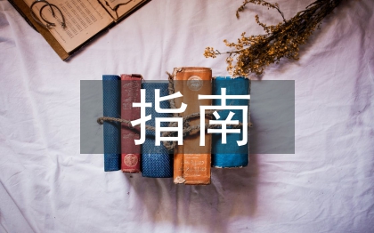 经济责任审计指南
