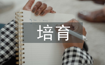 团队精神培育
