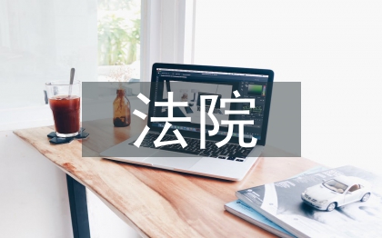 法院挂职总结