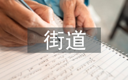 街道妇联工作计划