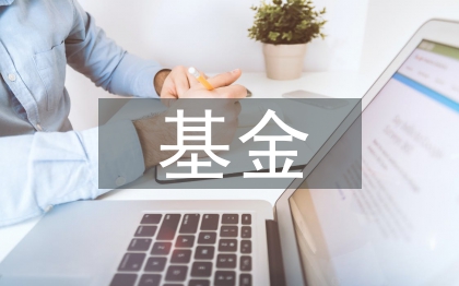 基金市场论文