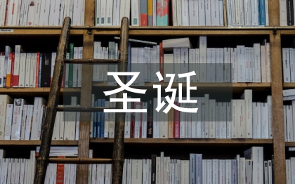 圣诞晚会领导致辞