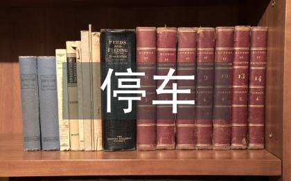 停车调查报告