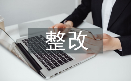 整改工作总结