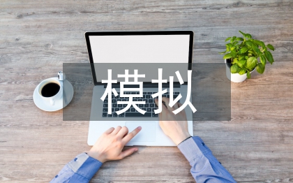 沙盘模拟财务总监总结