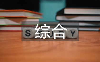 电力企业综合计划管理研究