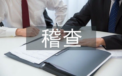 稽查工作思路