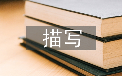 描写教育学论文