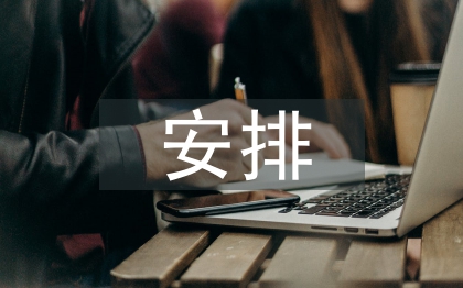 宣传工作安排意见