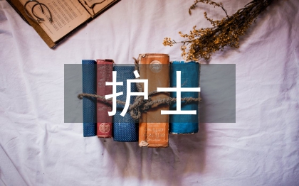 护士岗前培训个人总结