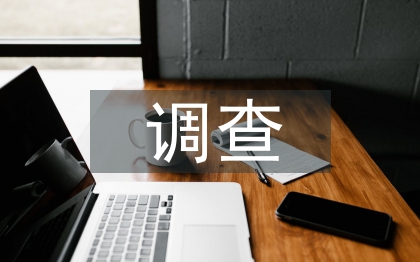 地质灾害应急调查