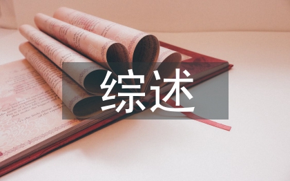 经济学文献综述