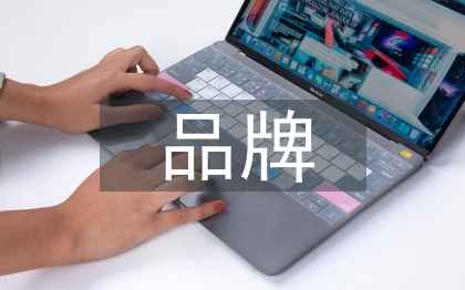 品牌营销论文