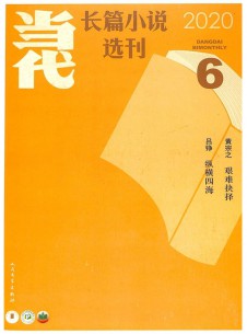 当代长篇小说选刊