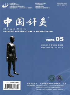 中国针灸期刊
