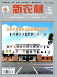 新农村期刊