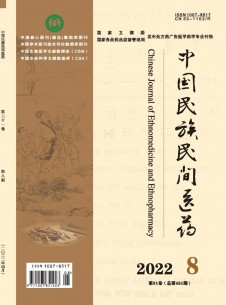 中国民族民间医药期刊