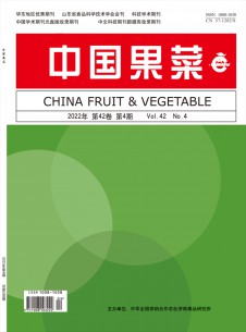 中国果菜期刊
