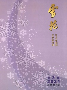 雪花期刊