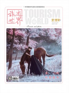 旅游世界期刊