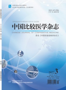 中国比较医学期刊