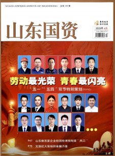 山东国资期刊