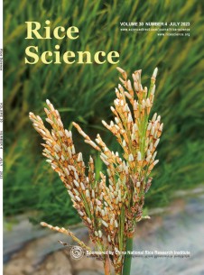 水稻科学杂志