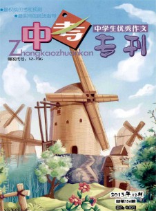 中学生优秀作文·中考专刊