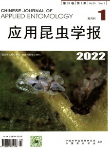 应用昆虫学报期刊