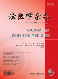 法医学期刊