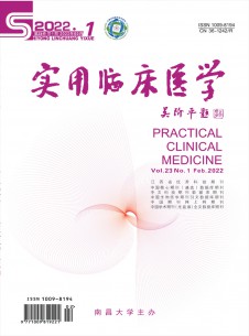 实用临床医学期刊