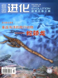 生物进化