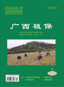 广西植保期刊