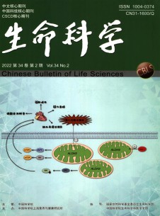 生命科学杂志