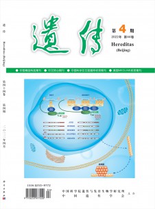 遗传期刊