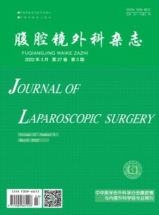 腹腔镜外科期刊