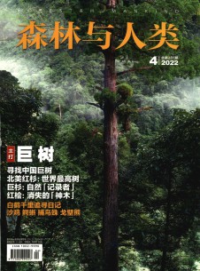 森林与人类期刊