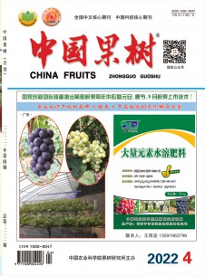 中国果树期刊