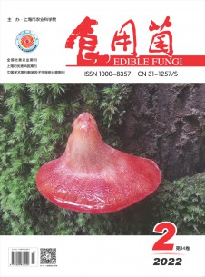 食用菌期刊