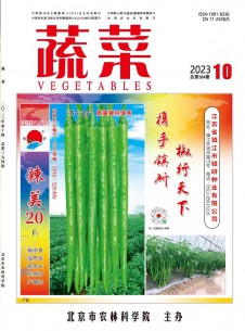 蔬菜期刊