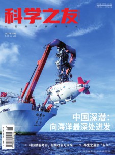 科学之友杂志