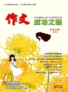 作文成功之路·中考冲刺杂志
