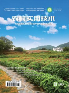 农村实用技术杂志