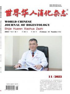 世界华人消化杂志
