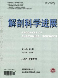 解剖科学进展杂志