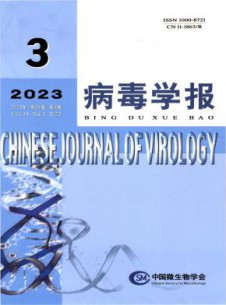 病毒学报