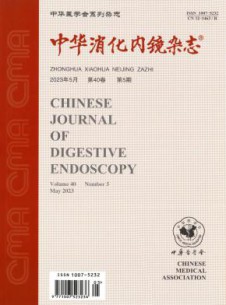 中华消化内镜杂志